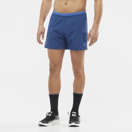 Blue Salomon Cross 5'' Men's Shorts | IE GO9042